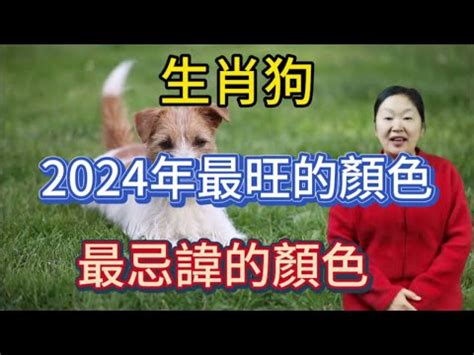 狗 幸運色|【屬狗 幸運色】狗年的幸運色秘密：2024年屬狗好運爆棚指南！